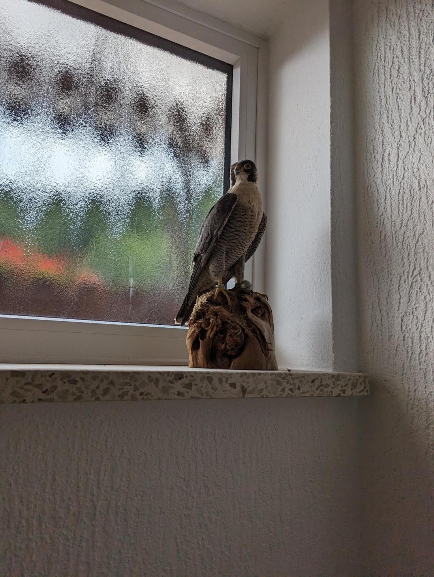 Hotel Haus Am Waldesrand Herzberg am Harz Zewnętrze zdjęcie